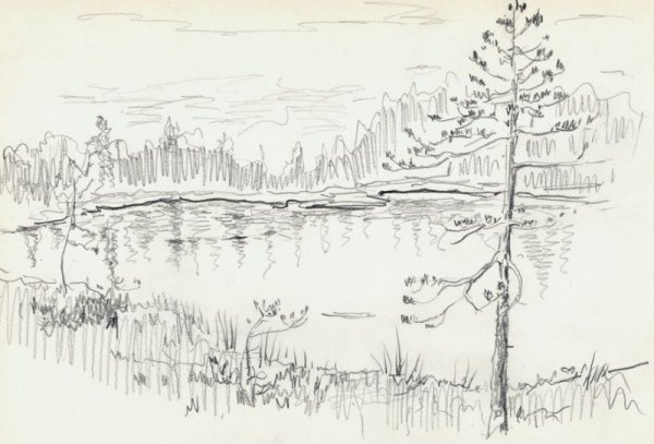 Васюткино озеро черно-белые