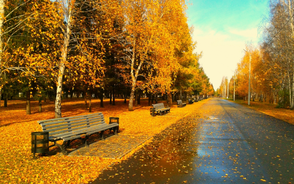 Осенний парк