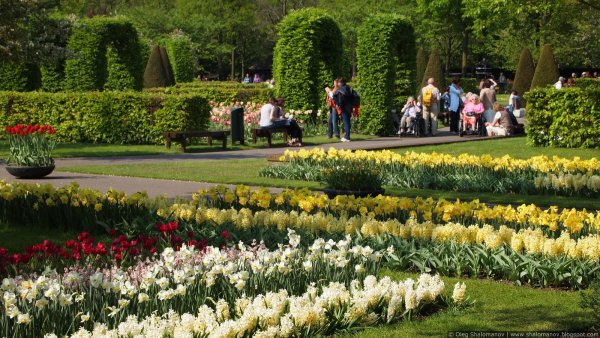 24 Мая Европейский день парков (European Day of Parks)