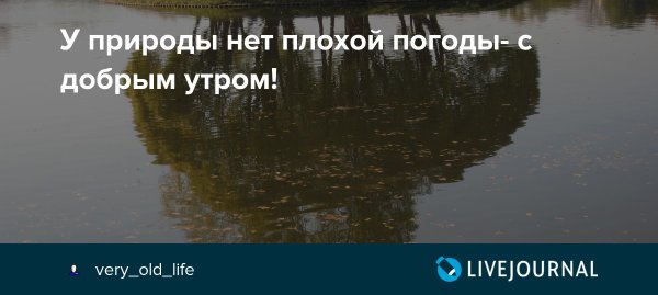 У природы нет плохой погоды доброе утро