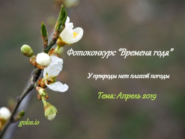 Апрельские причуды