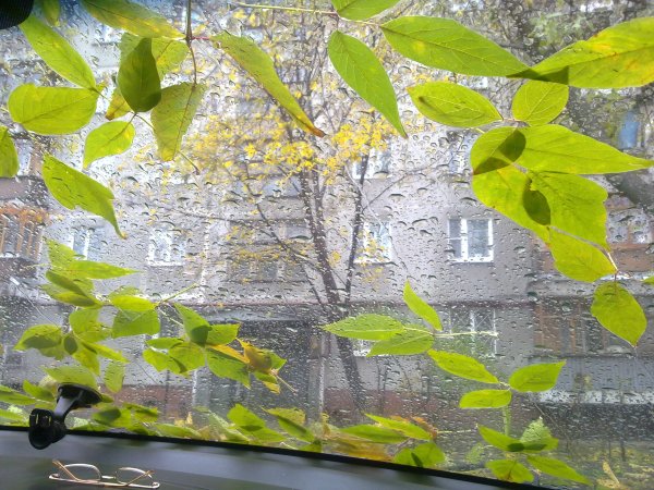 У природы нет плохой погоды картинки