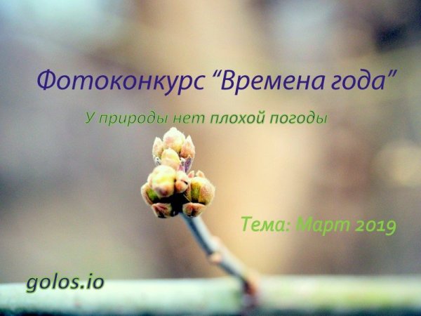 Открытки у природы нет плохой