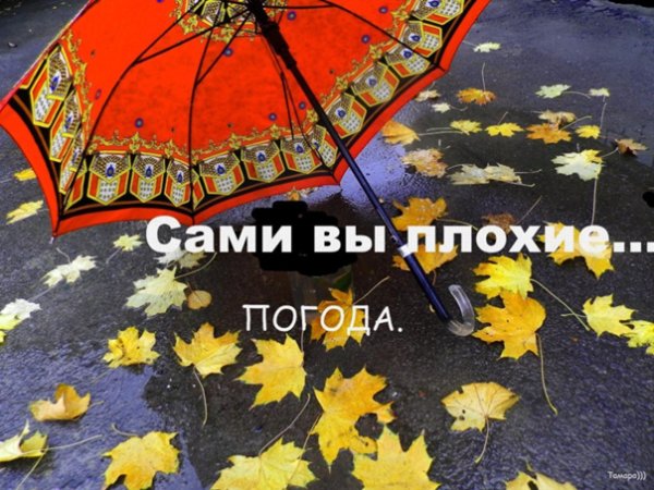 У природы нет плохой погоды доброе утро