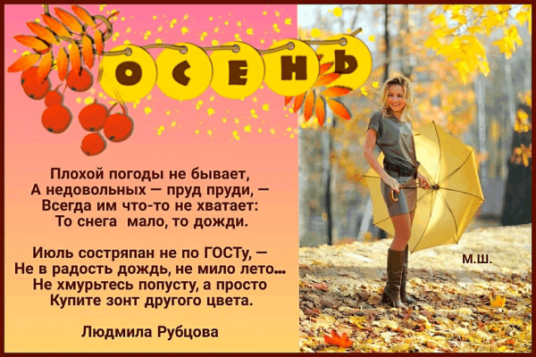 Не бывает плохой погоды