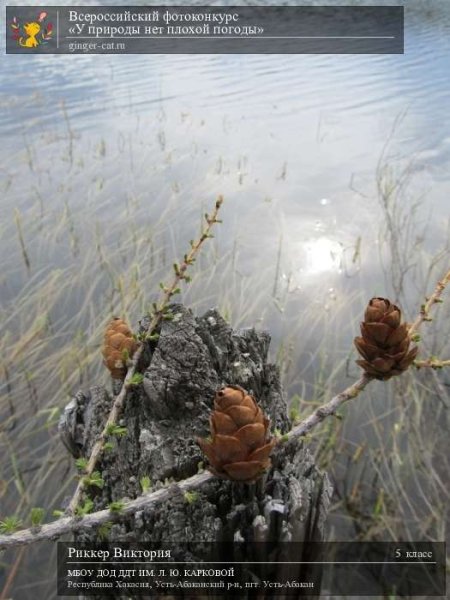 У погоды нет плохой погоды
