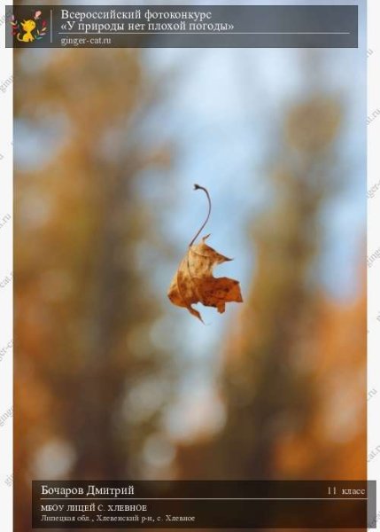 Доброго утра у природы нет плохой