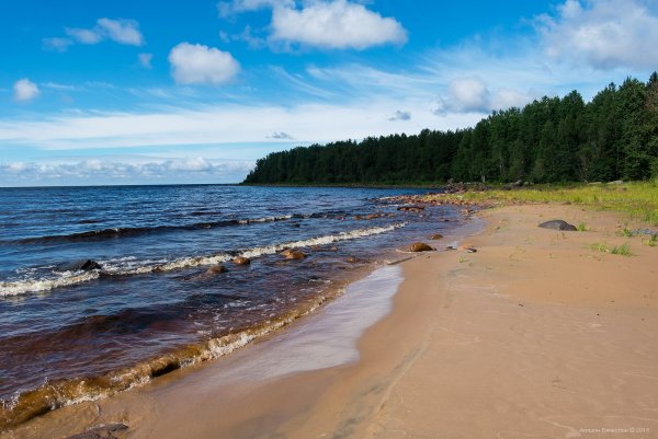Мыс Песоцкий нос Ладожское озеро