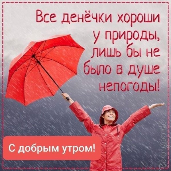 Отличного настроения в любую погоду