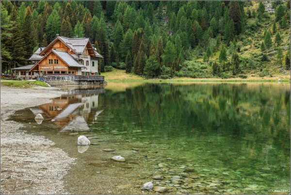 Лес горы штат Монтана домик у озера