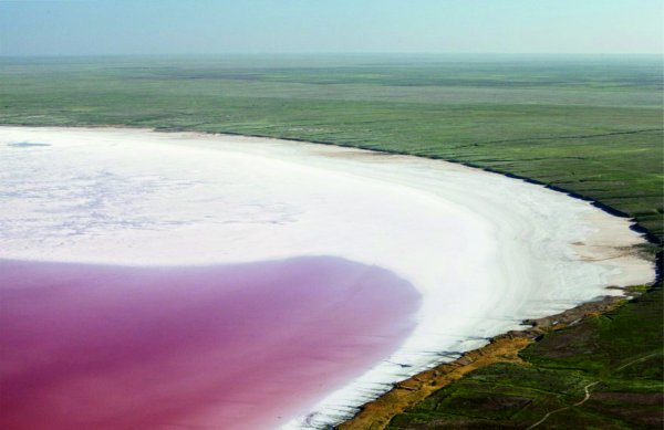 Озеро Эльтон Волгоградская область