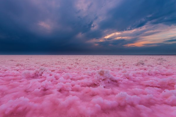 Озеро Эльтон Волгоградская область