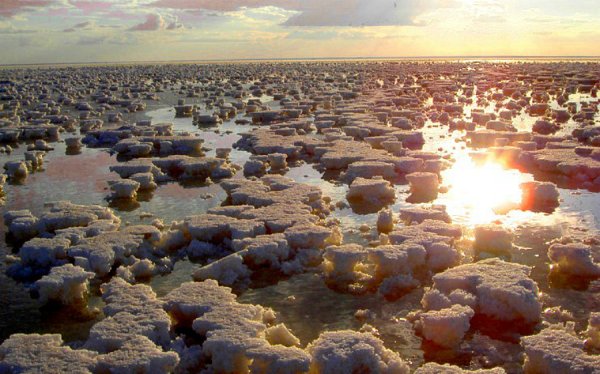 Озеро Эльтон Волгоградская область