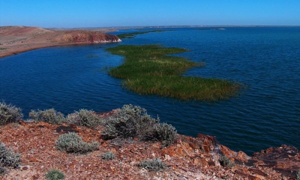 Казахстан река Балхаш
