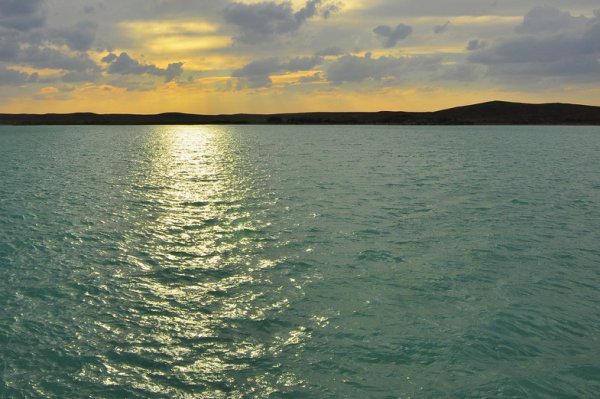 Озеро Балхаш чистое ?