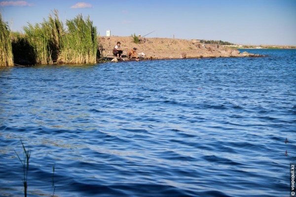 Река Балхаш