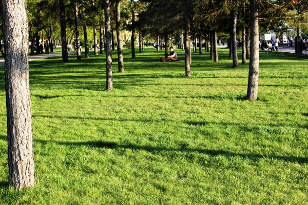 Улица без людей с травой