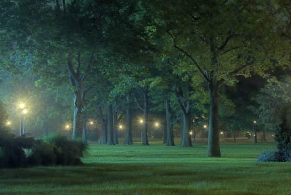 Парк без людей