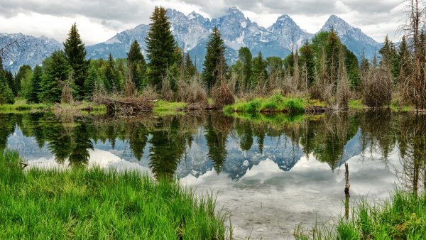 Лесное (озеро, Северная Америка)