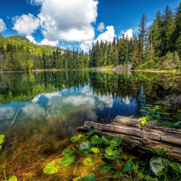 Красивый пейзаж