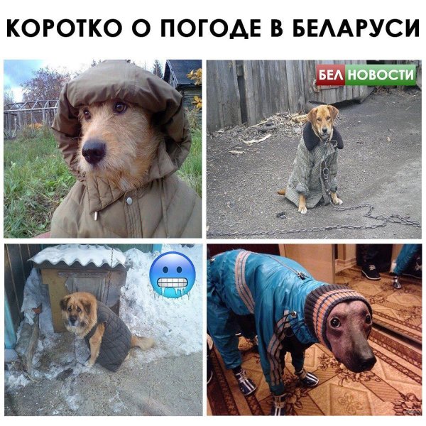 Коротко о погоде