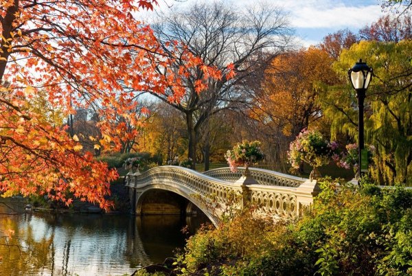 Осень в Central Park в Нью-Йорке.