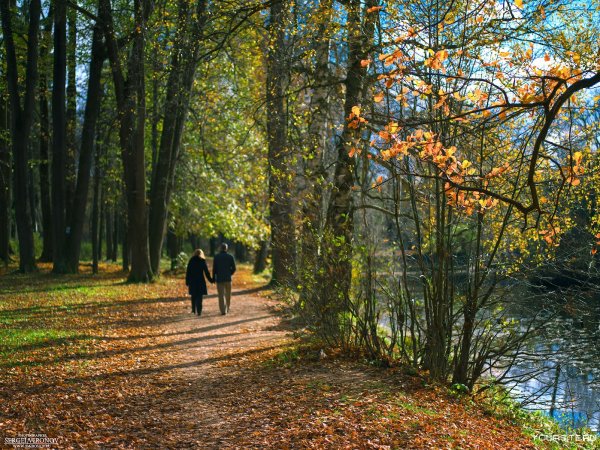 Прогулка в осеннем парке