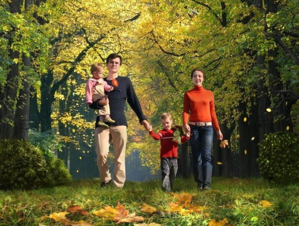 Прогулка в лесу