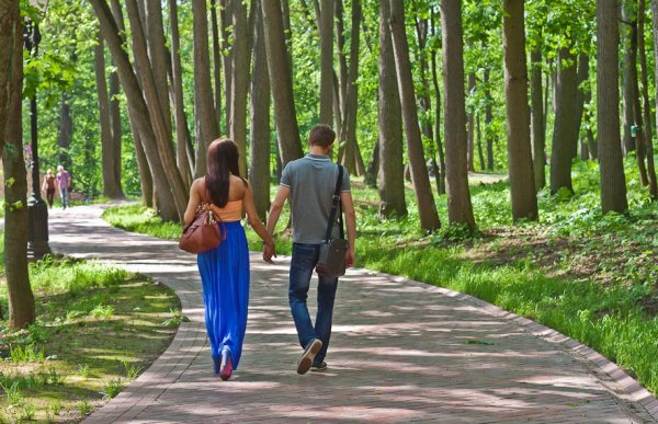 Гулять по парку