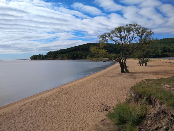 Озеро ханка Приморье