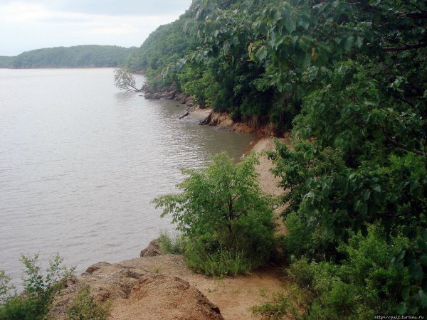 Озеро ханка Приморский