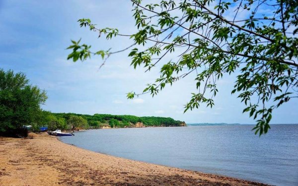 Озеро ханка Приморский край