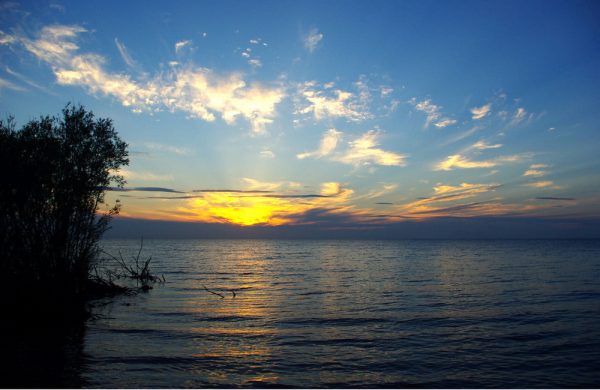 Владивосток озеро ханка