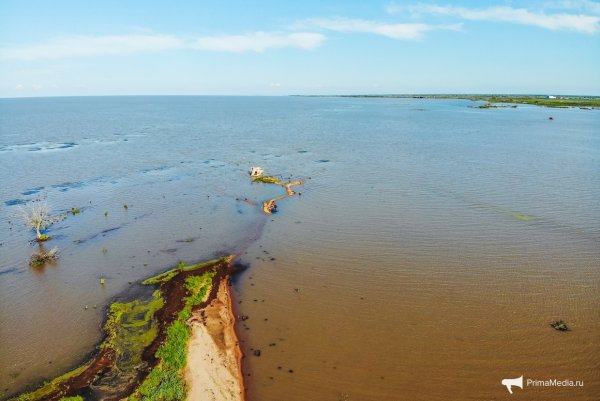 Владивосток озеро ханка