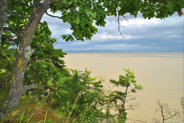 Озеро ханка Плавни