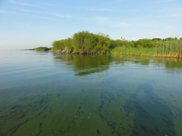 Озеро ханка