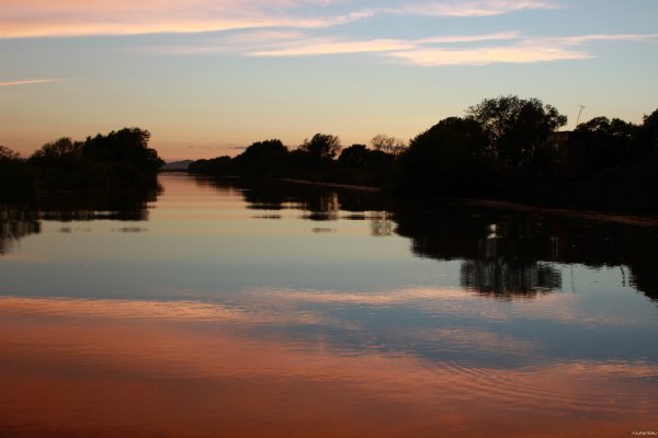 Озеро ханка Приморский край