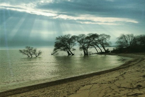 Озеро ханка Дальний Восток