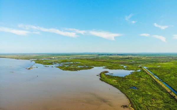 Озеро ханка Плавни