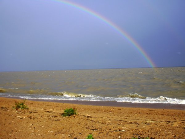 Озеро ханка площадь