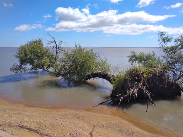 Озеро ханка