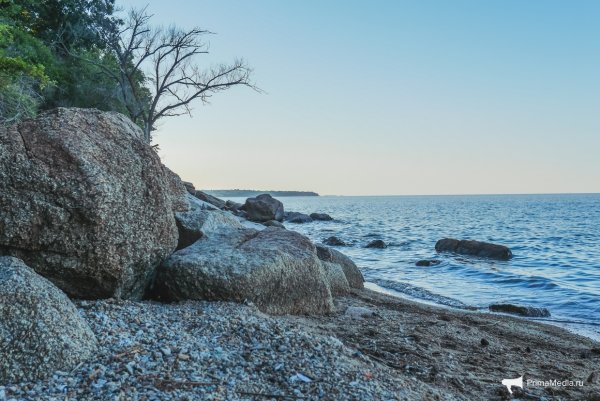 Владивосток озеро ханка
