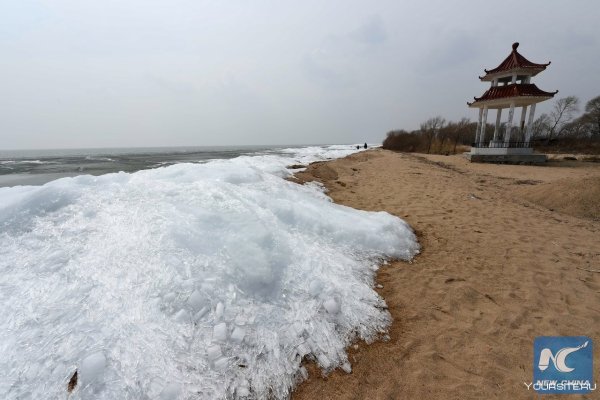 Озеро ханка фото