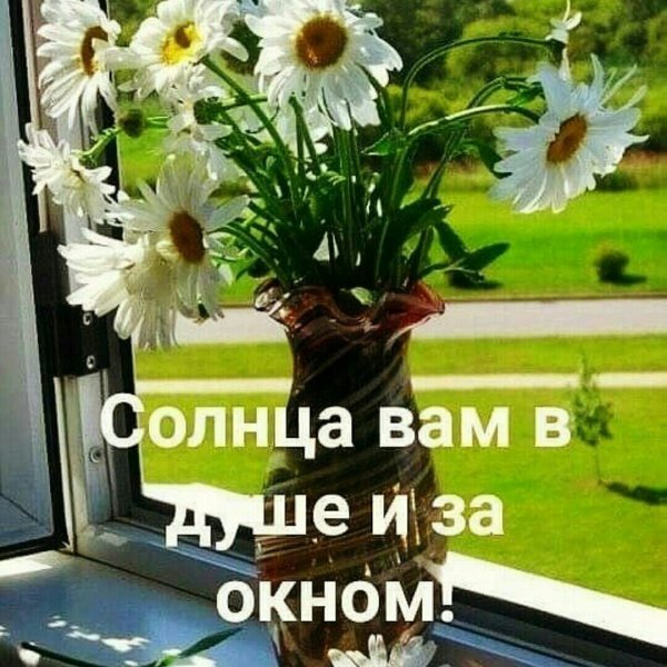 Солнца тепла и хорошего настроения