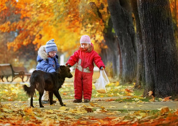 Дети в парке осень