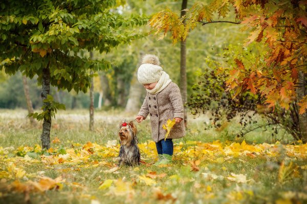 Осенняя прогулка