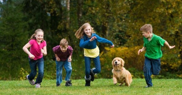 Ребенок играет с собакой