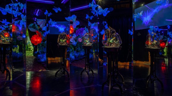 Мэджик парк Сочи