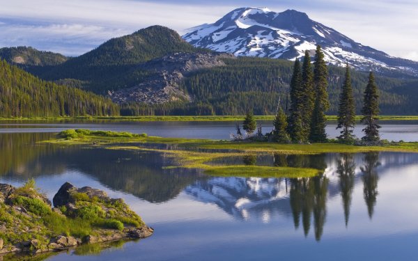 Штат Орегон леса