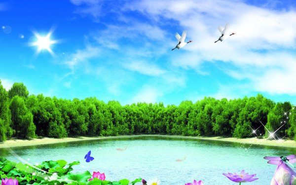 Дети на озере